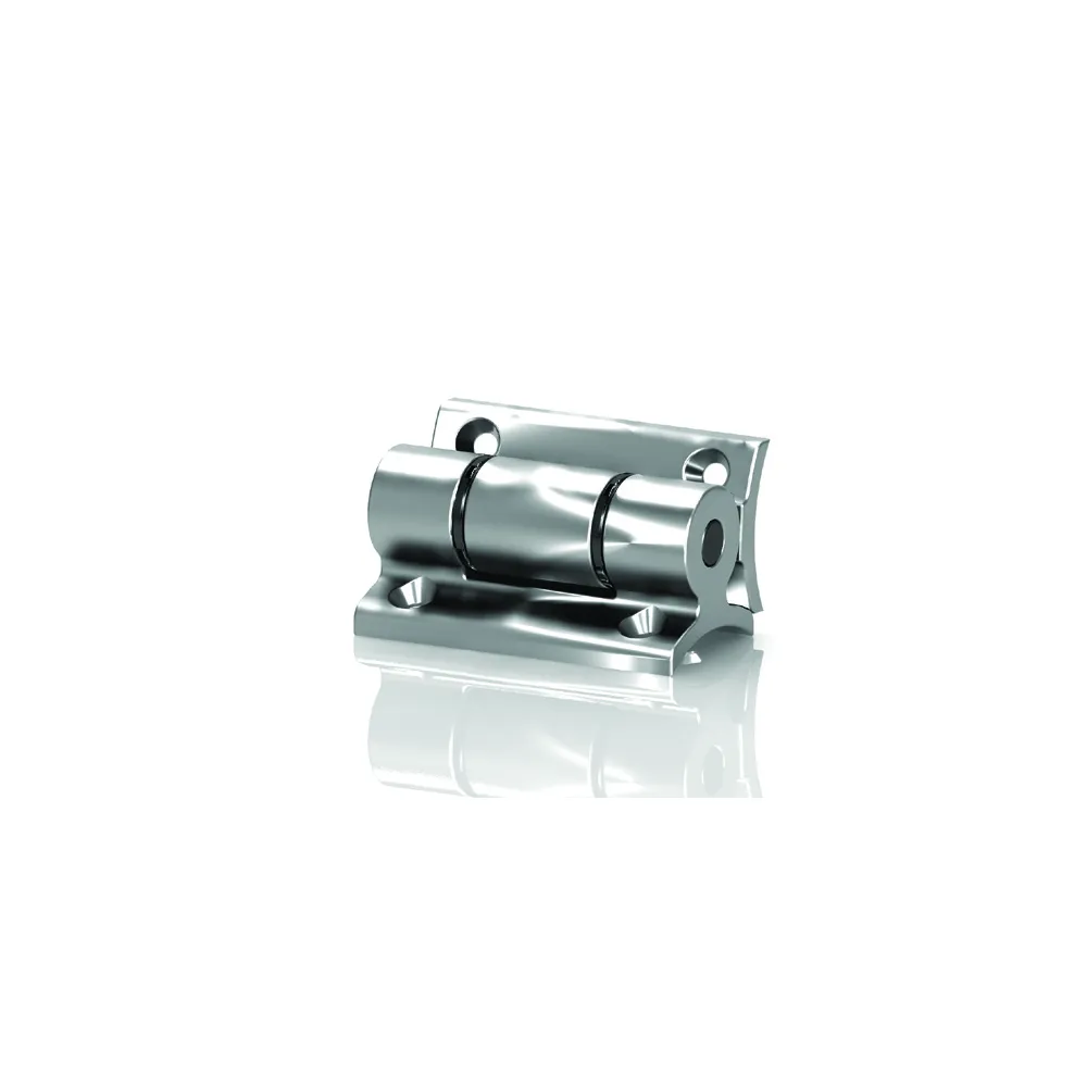 Hinge For Handrail Door